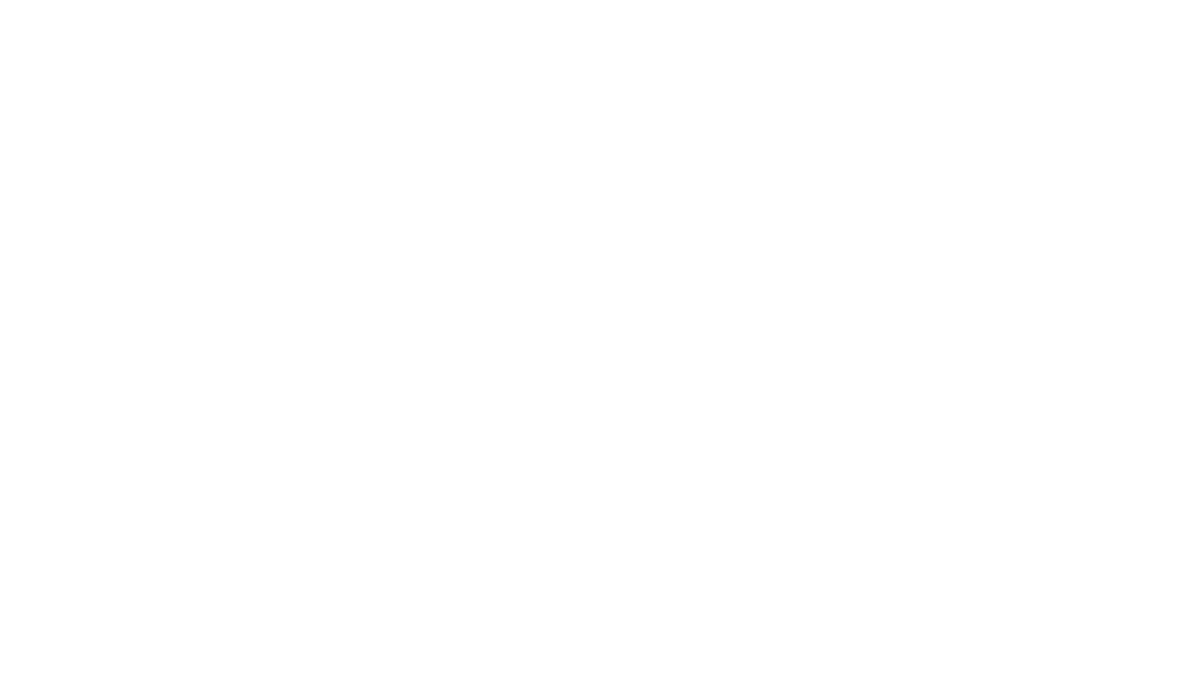 Salomon Logo